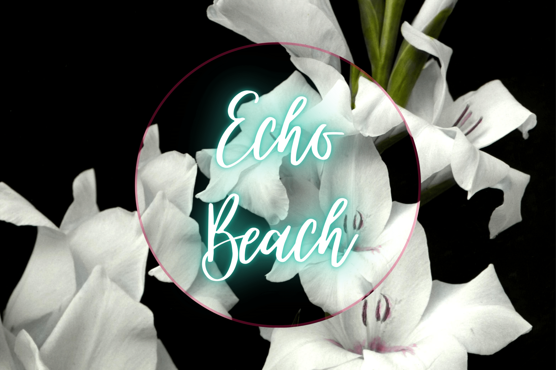 Echo Beach Show Image