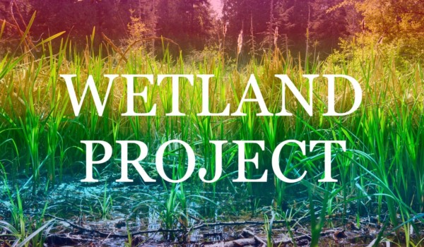 Featured Image for Wetland Project courtesy of   | CJRU