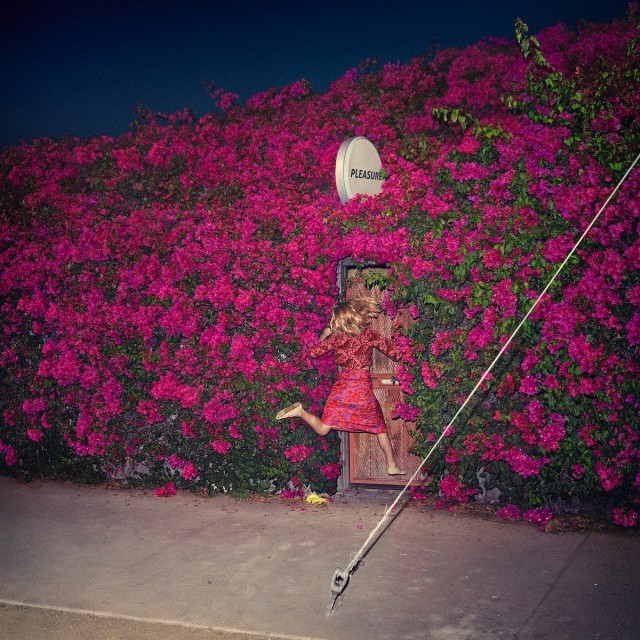 Album Image for Feist - Pleasure (Released 2017-04-28  by Universal)