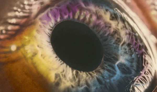 Extreme close-up of an eye